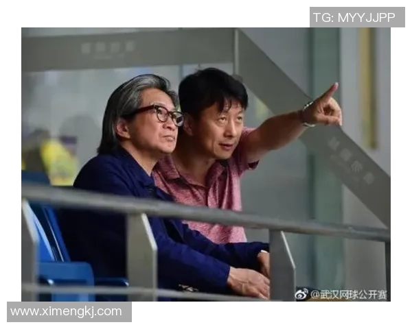 赛后分析武汉网球队与北京网球队心理素质的较量与启示