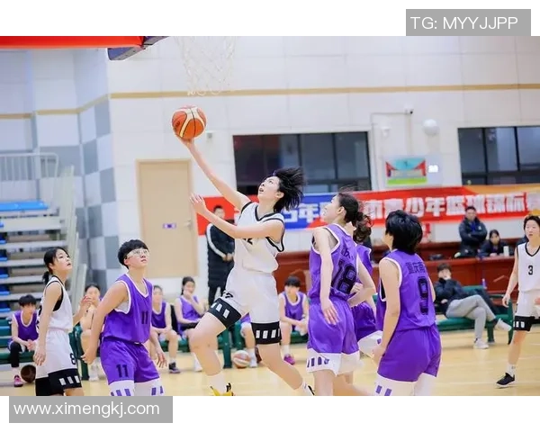 重庆篮球队在冠军赛中的实力分析与表现评估