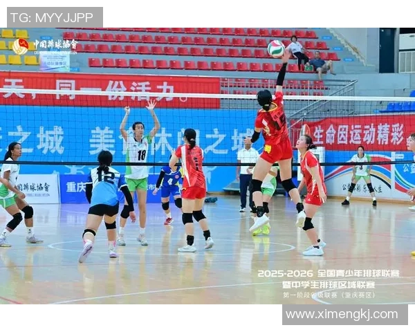 重庆排球队在城市联赛中的意识表现分析与点评