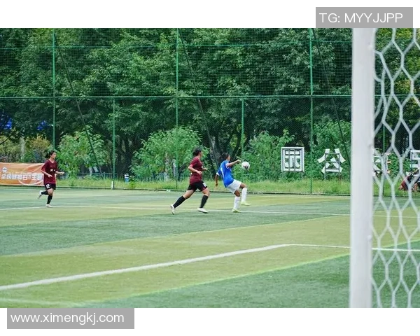 重庆足球队在锦标赛中的技术表现分析与评价 重庆足球队在锦标赛中的技术表现分析与评价