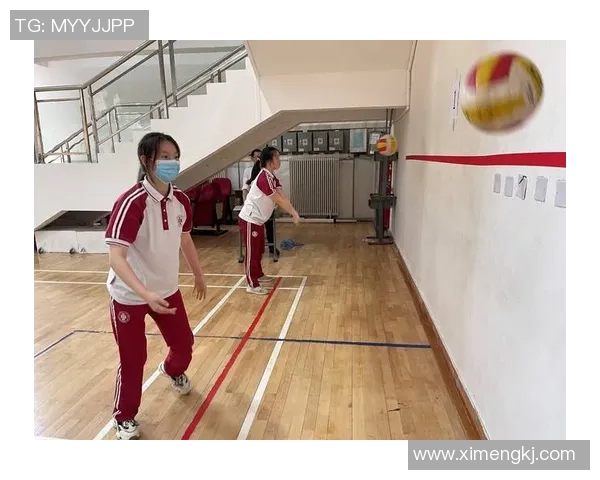 西安排球队的转型之路探索与挑战全景分析