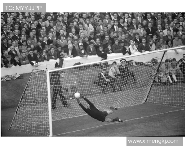 俄罗斯籍足球明星的辉煌历程与对世界足球的影响分析